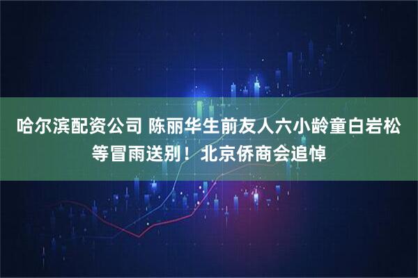 哈尔滨配资公司 陈丽华生前友人六小龄童白岩松等冒雨送别！北京侨商会追悼
