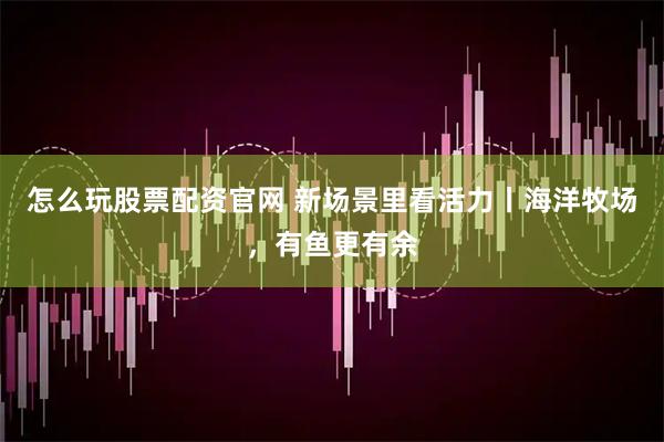怎么玩股票配资官网 新场景里看活力丨海洋牧场，有鱼更有余